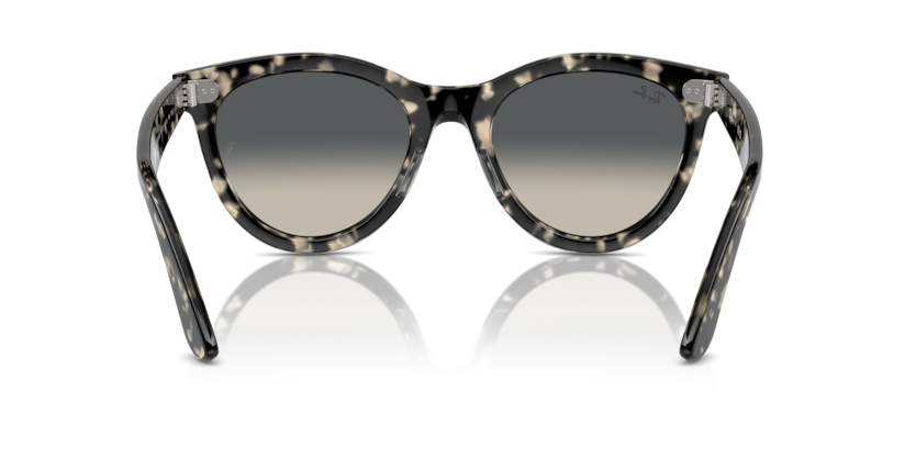 RAY-BAN | RB2241 133371
