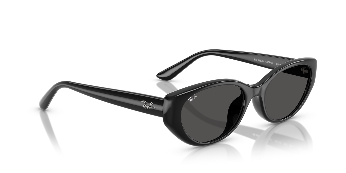 RAY-BAN | RB 4457D 667787