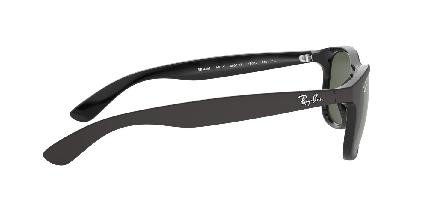 RAY-BAN | RB 4202 606971