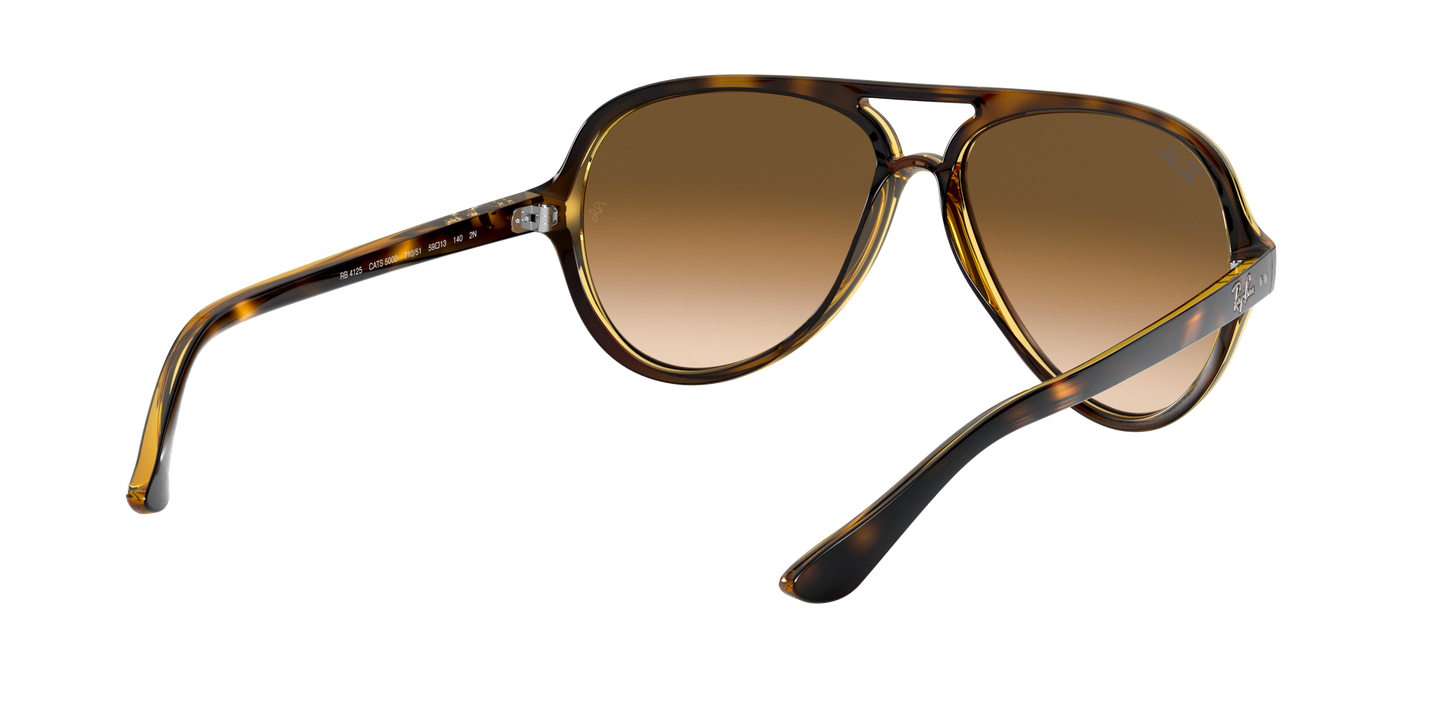 RAY-BAN | RB 4125 710/51