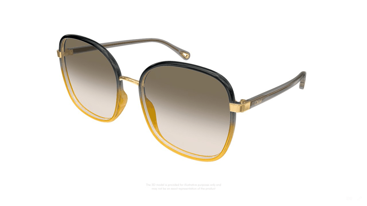 CHLOÉ | CH0031S 010