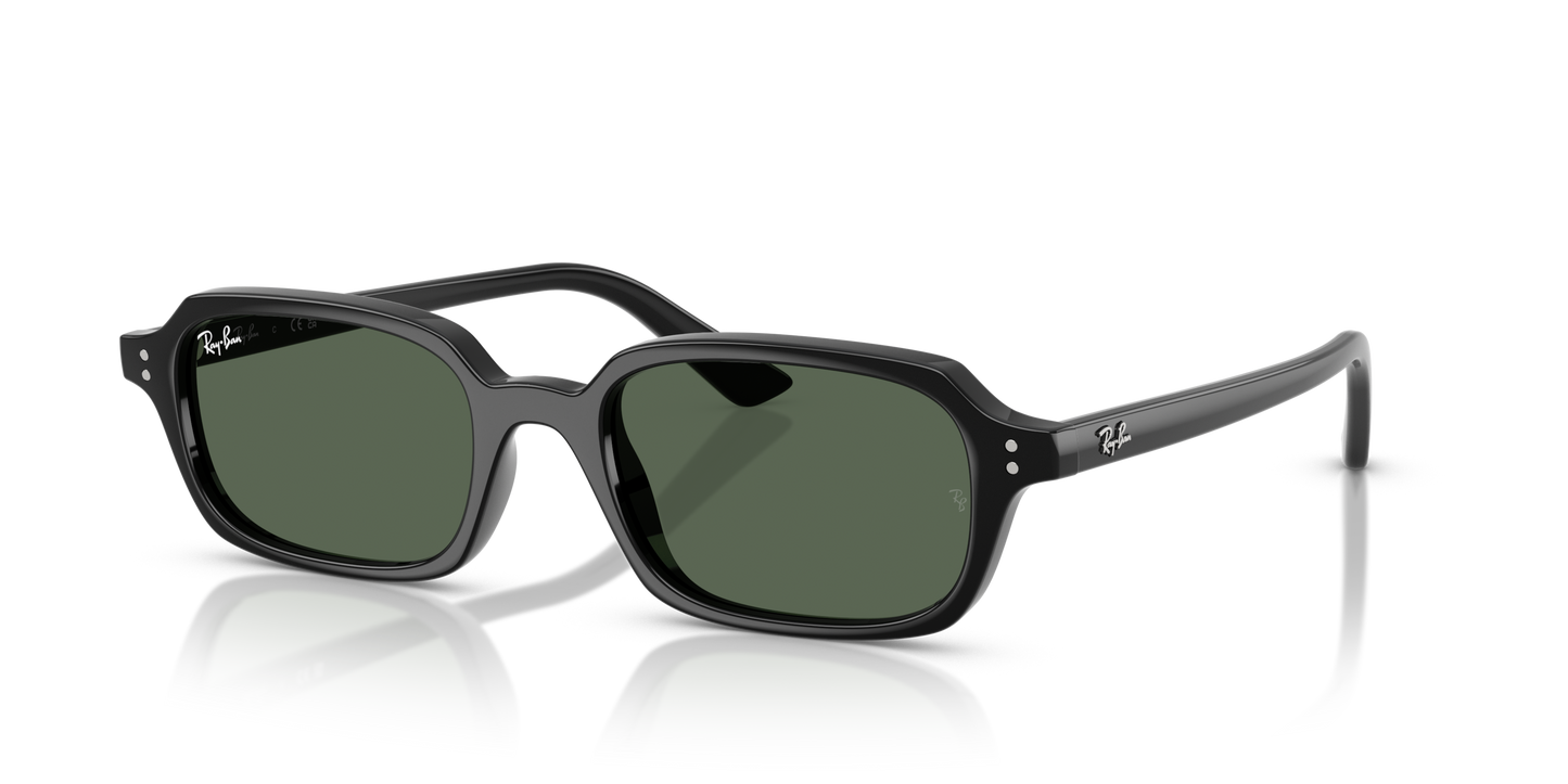 RAY-BAN | RB 4455 667771