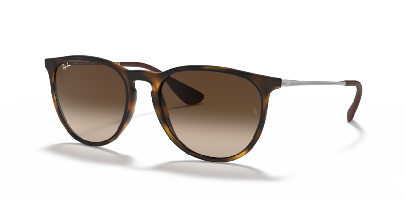 RAY-BAN | RB4171 865/13