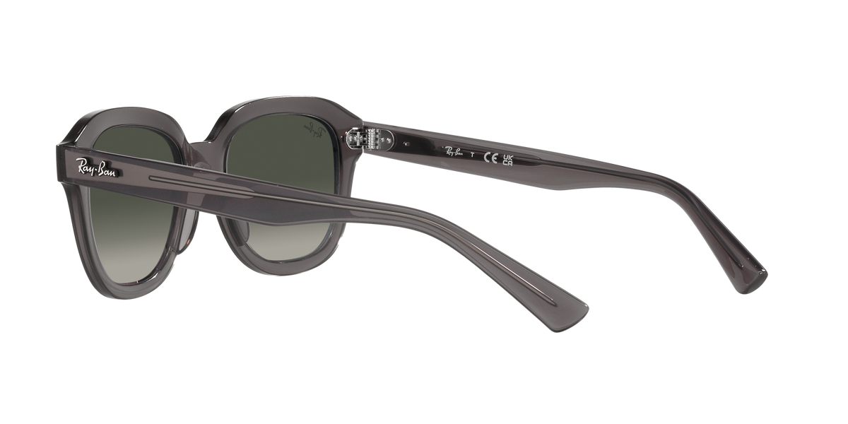 Lunettes de soleil RAY-BAN | RB 4398 6675/71 - Les Frères Opticiens