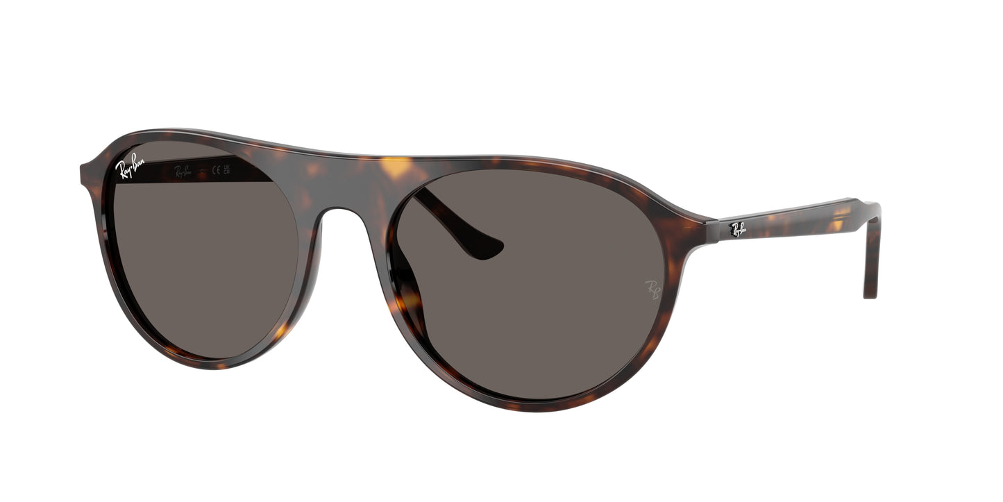 RAY-BAN | RB2215 902/B1