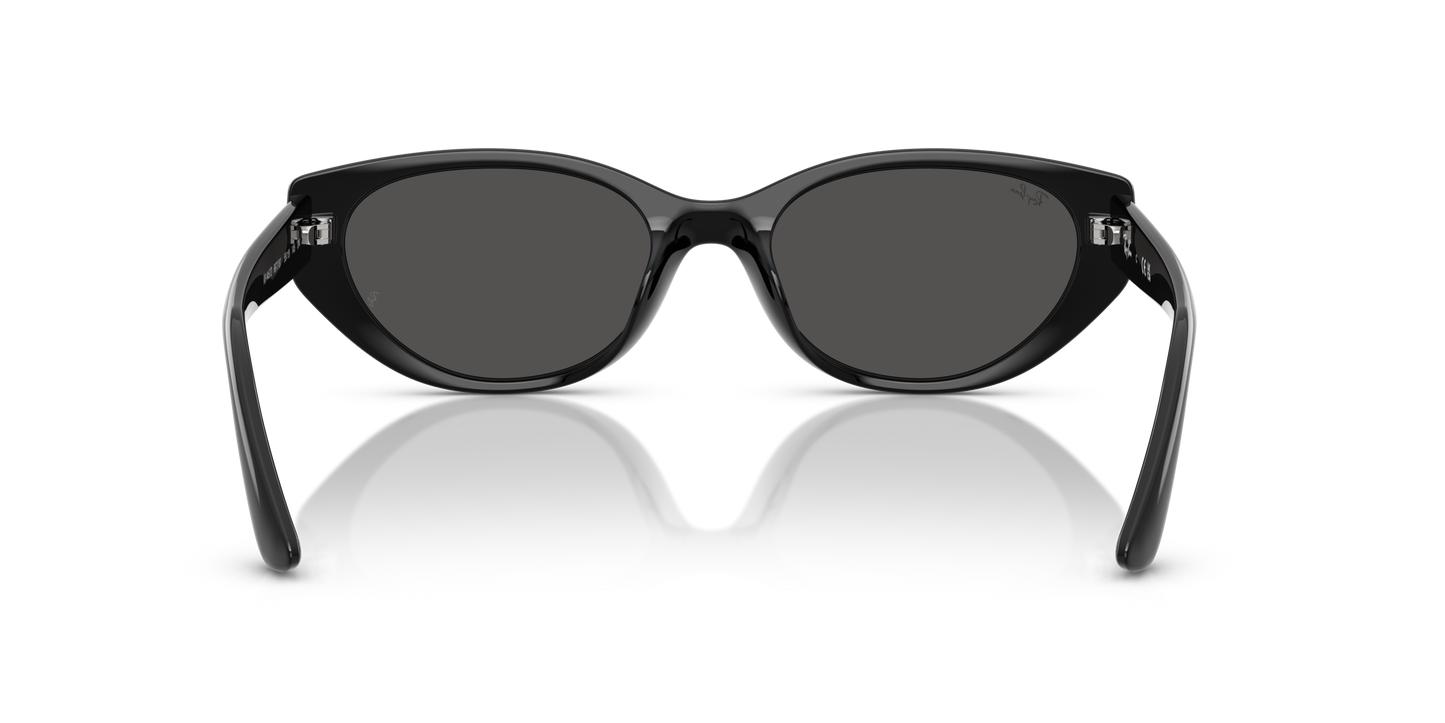 RAY-BAN | RB 4457D 667787