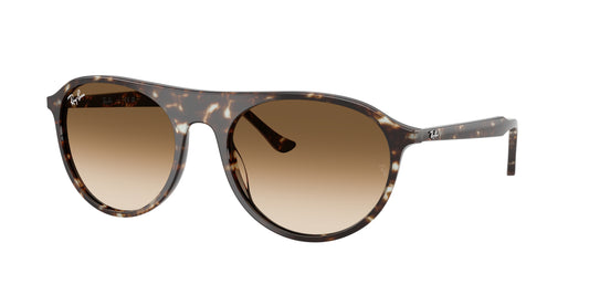 Lunettes de soleil RAY-BAN | RB 2215 143151 - Les Frères Opticiens
