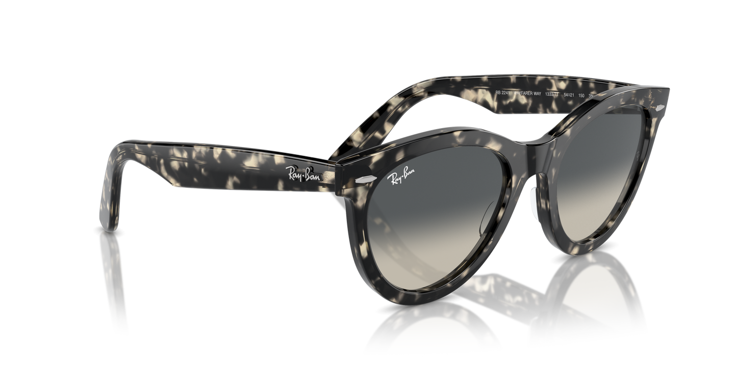 RAY-BAN | RB 2241 133371
