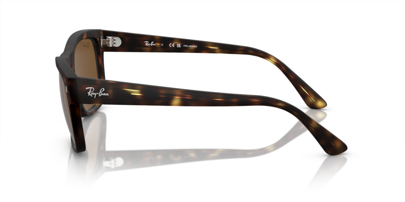 RAY-BAN | RB4428 894/57