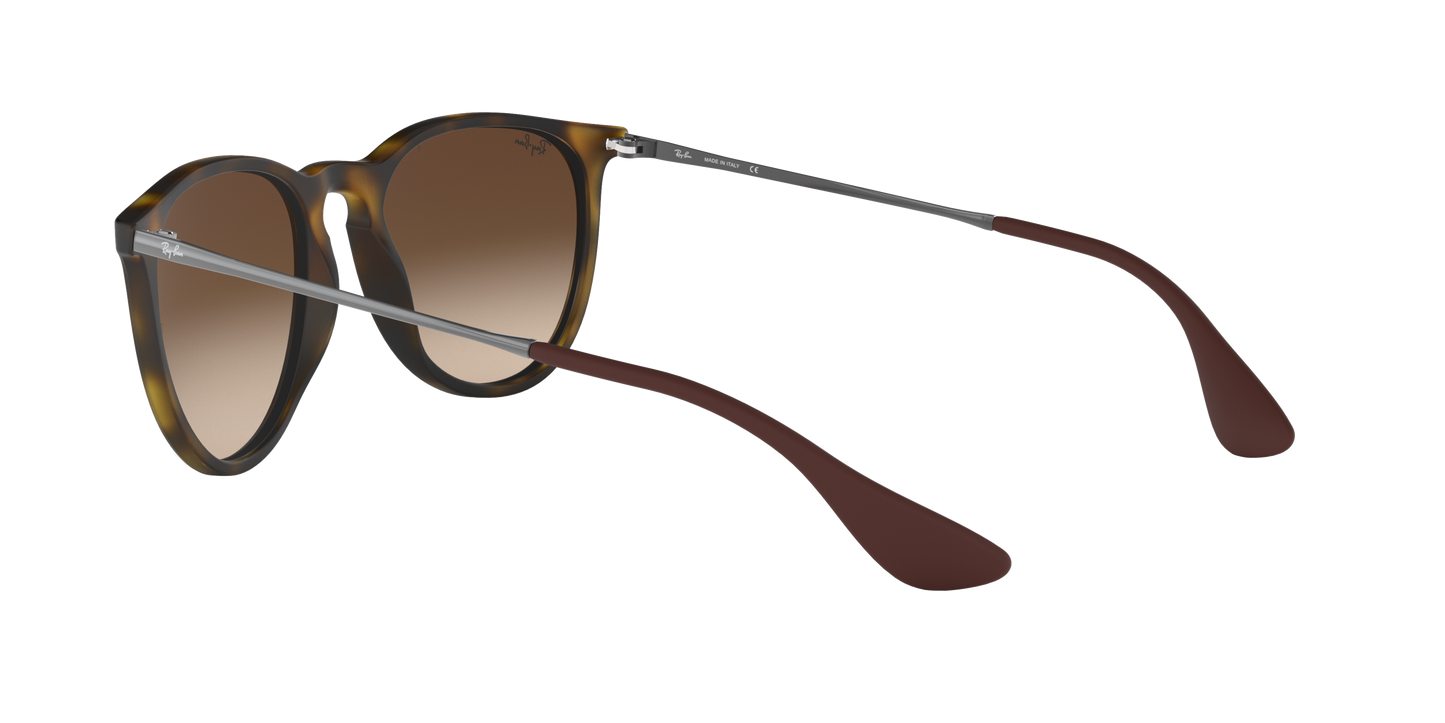 RAY-BAN | RB 4171 865/13