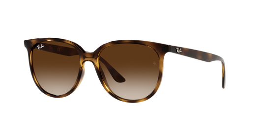 Lunettes de soleil RAY-BAN | RB 4378 710/13 - Les Frères Opticiens