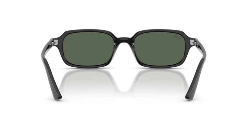 RAY-BAN | RB4455 667771