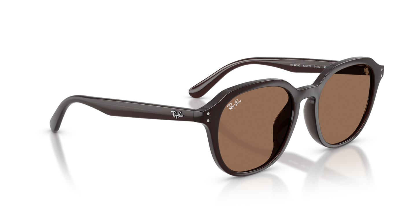 RAY-BAN | RB 4459D 623173