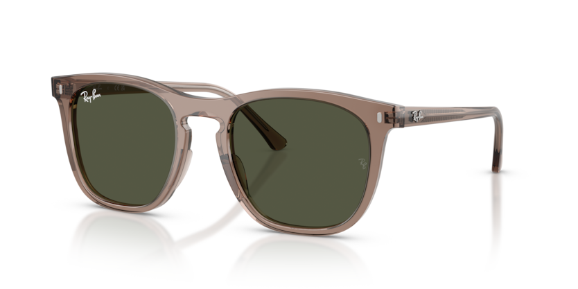 RAY-BAN | RB2210 845731