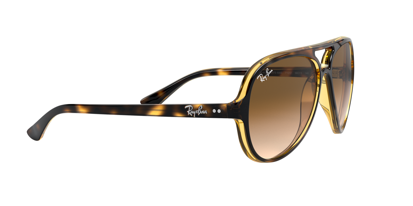 RAY-BAN | RB 4125 710/51