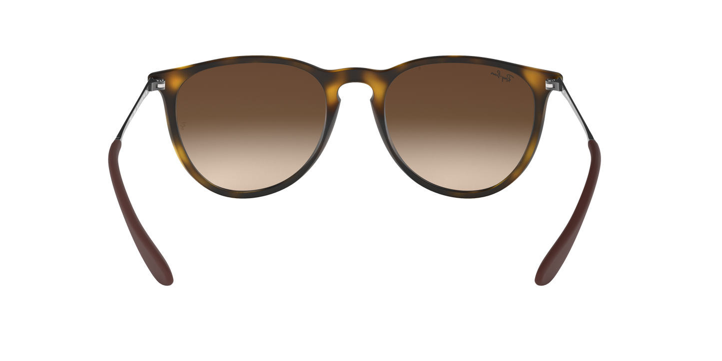 RAY-BAN | RB 4171 865/13