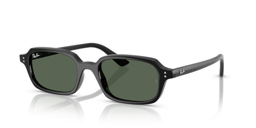 RAY-BAN | RB4455 667771