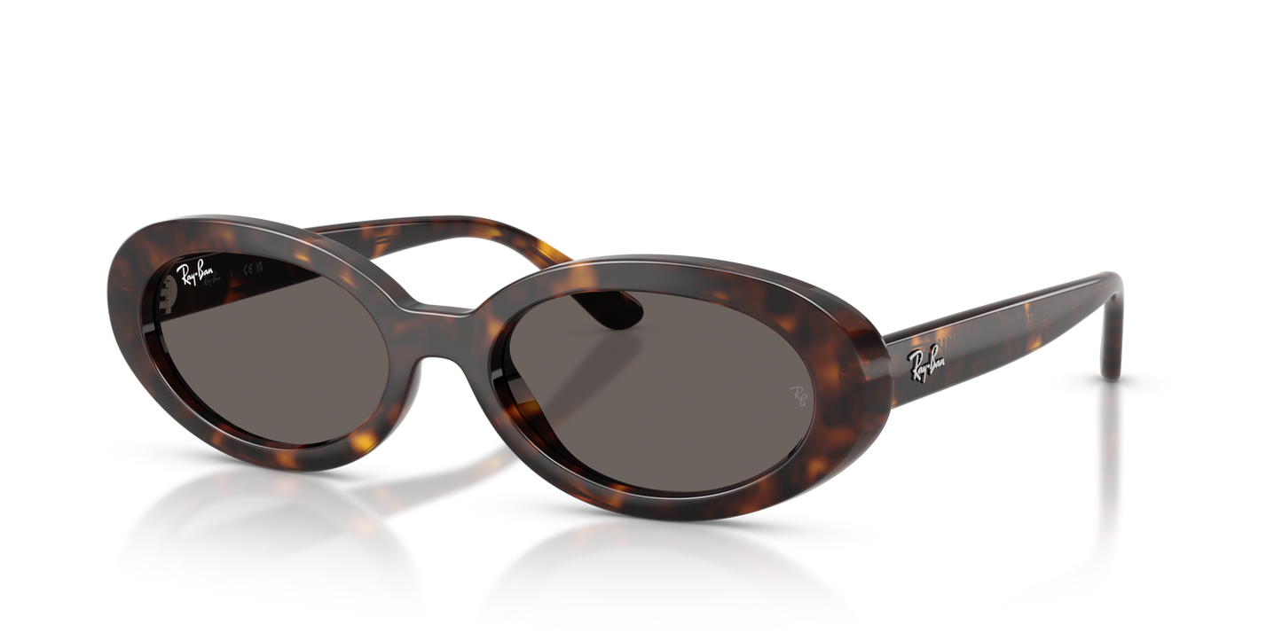 RAY-BAN | RB 2223 902/B1