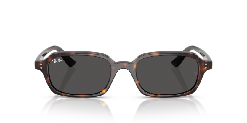 RAY-BAN | RB4455 135987
