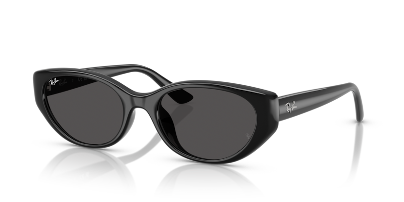 RAY-BAN | RB4457D 667787