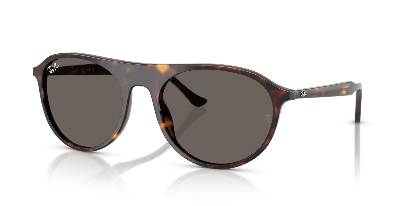 RAY-BAN | RB 2215 902/B1
