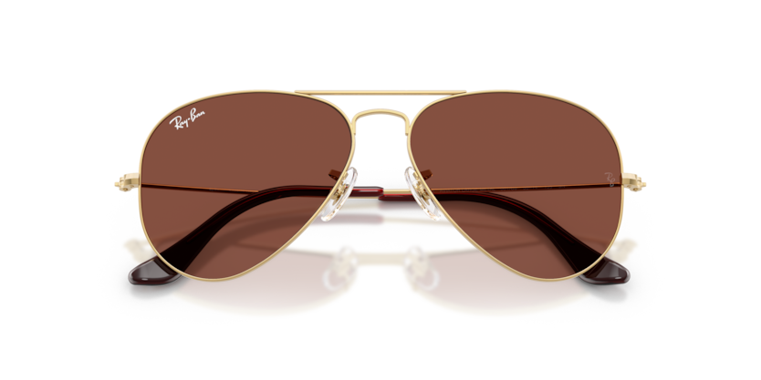 RAY-BAN | RB3025 001/C5