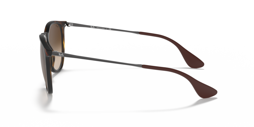 RAY-BAN | RB4171 865/13