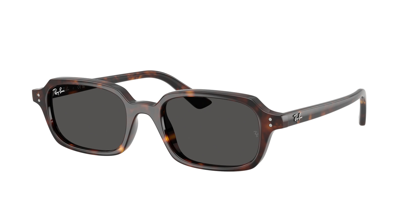 RAY-BAN | RB 4455 135987