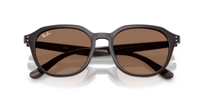 RAY-BAN | RB4459D 623173