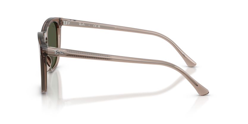 RAY-BAN | RB2210 845731