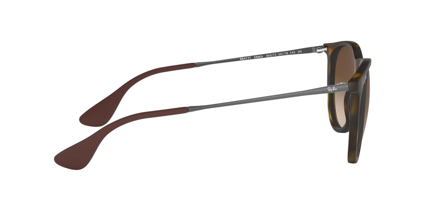 RAY-BAN | RB 4171 865/13