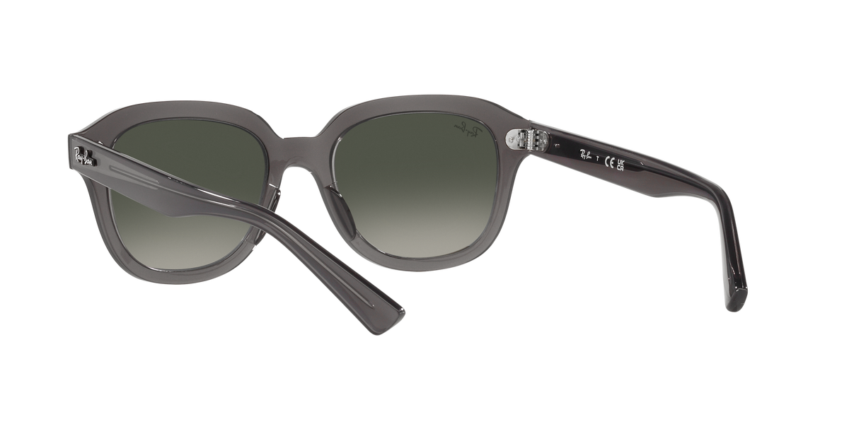 Lunettes de soleil RAY-BAN | RB 4398 6675/71 - Les Frères Opticiens