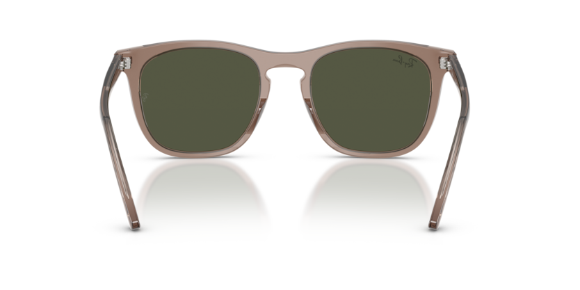 RAY-BAN | RB2210 845731
