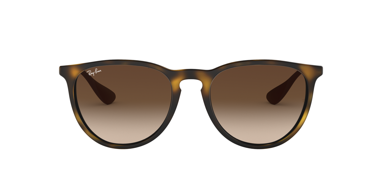 RAY-BAN | RB 4171 865/13