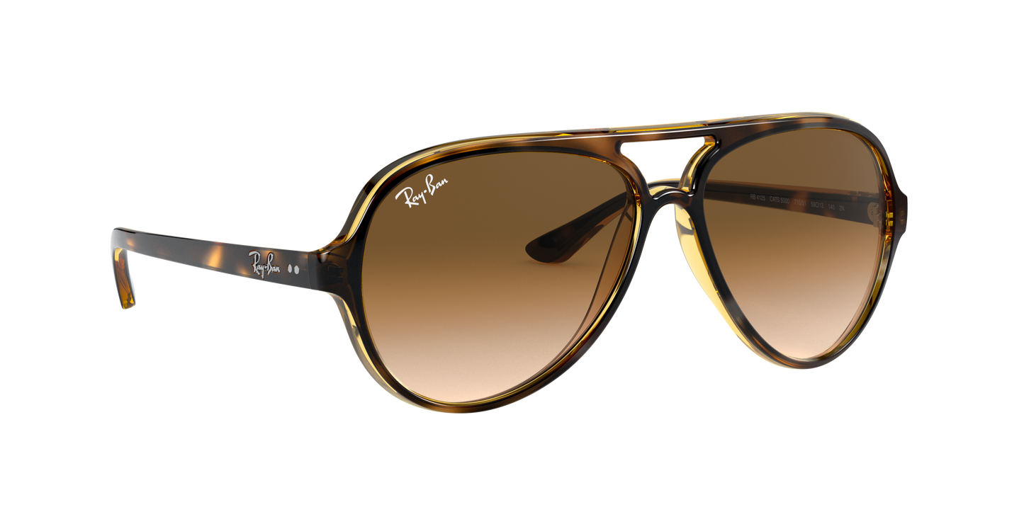 RAY-BAN | RB 4125 710/51