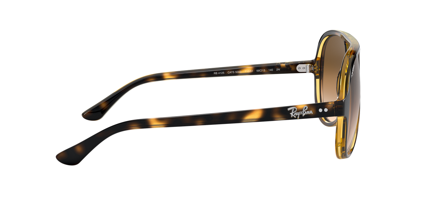 RAY-BAN | RB 4125 710/51