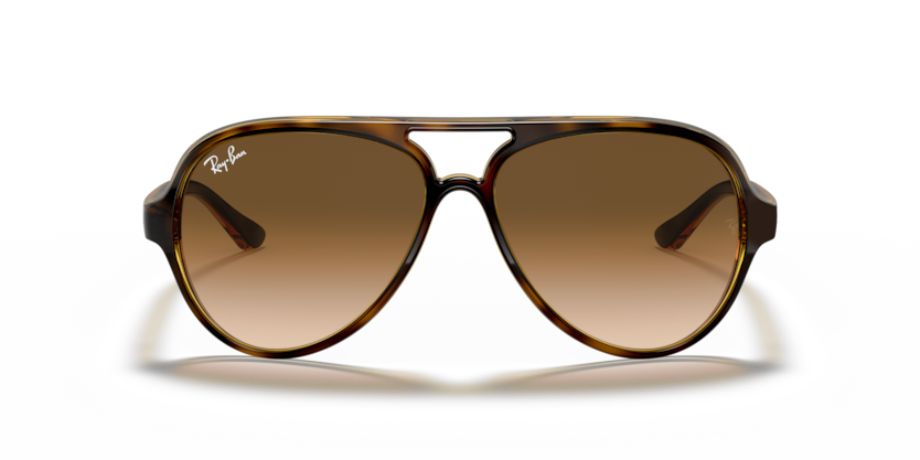 RAY-BAN | RB4125 710/51