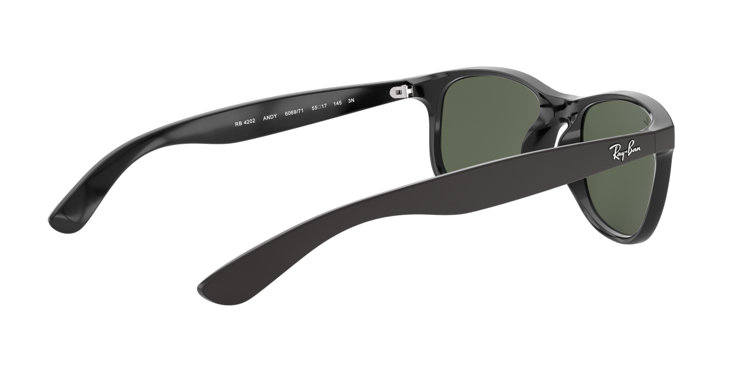 RAY-BAN | RB 4202 606971
