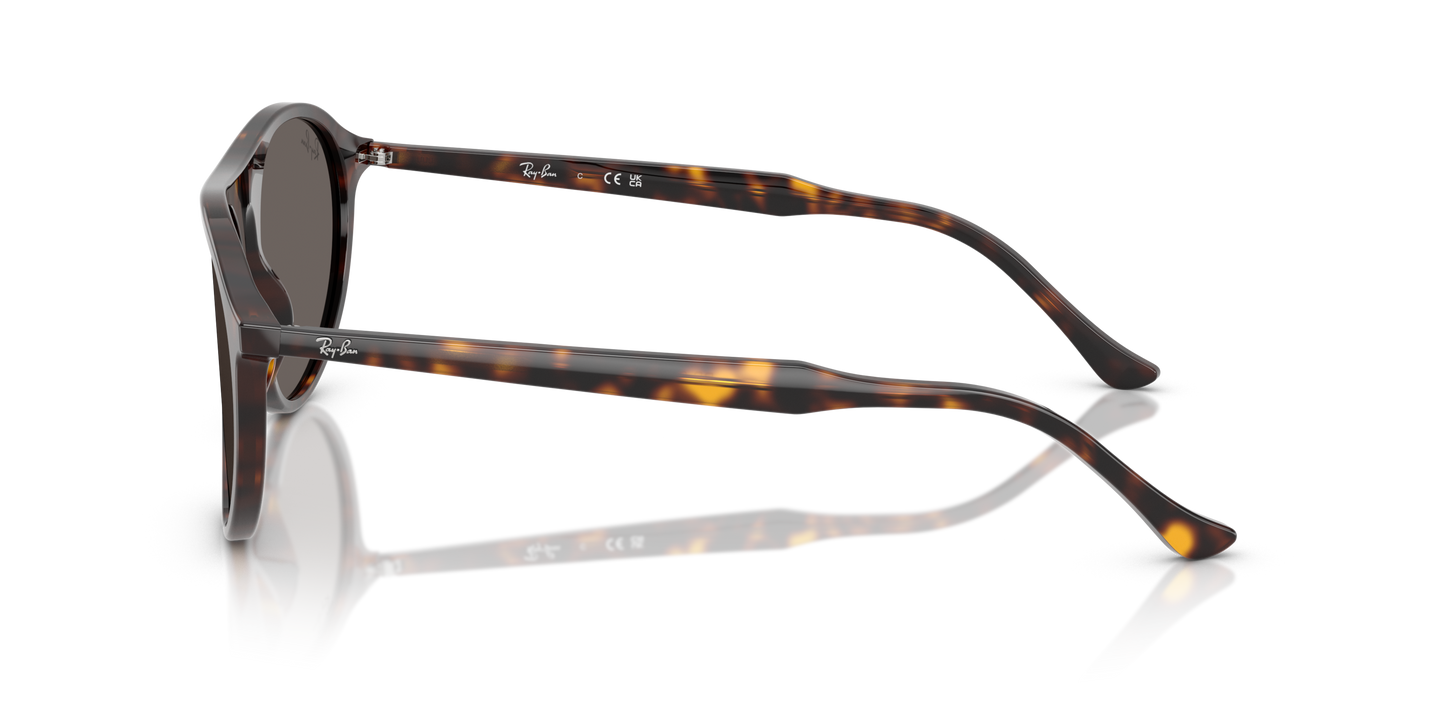 RAY-BAN | RB 2215 902/B1