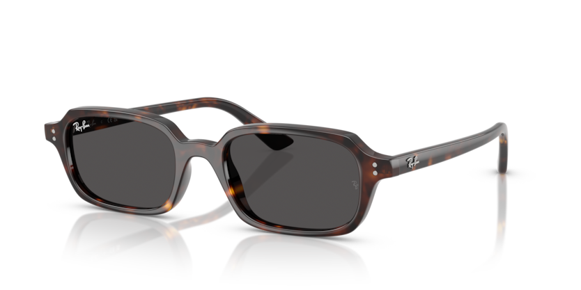 RAY-BAN | RB4455 135987