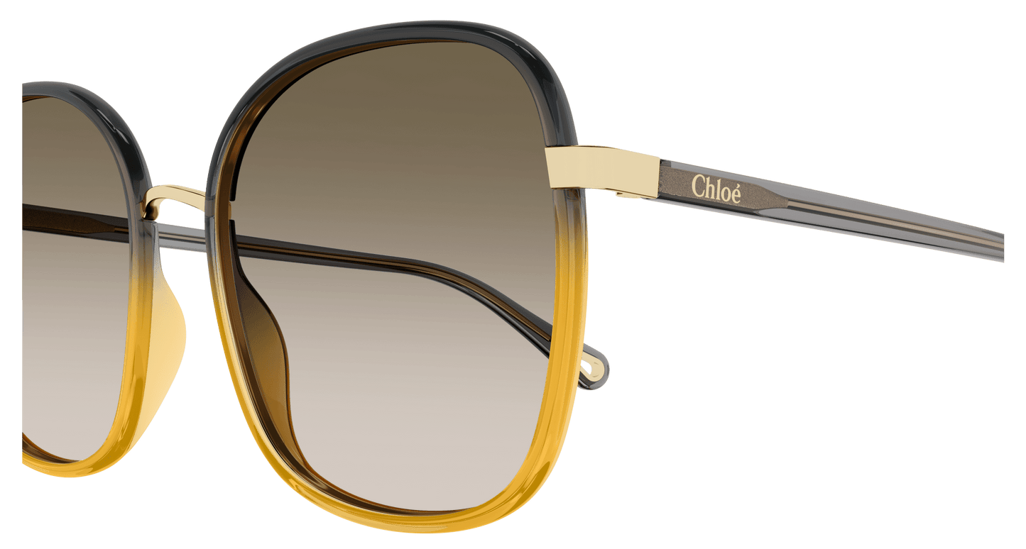 CHLOÉ | CH0031S 010