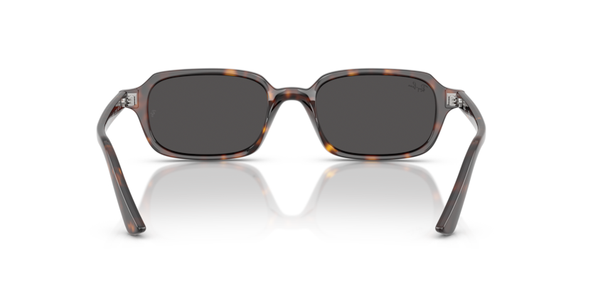 RAY-BAN | RB4455 135987