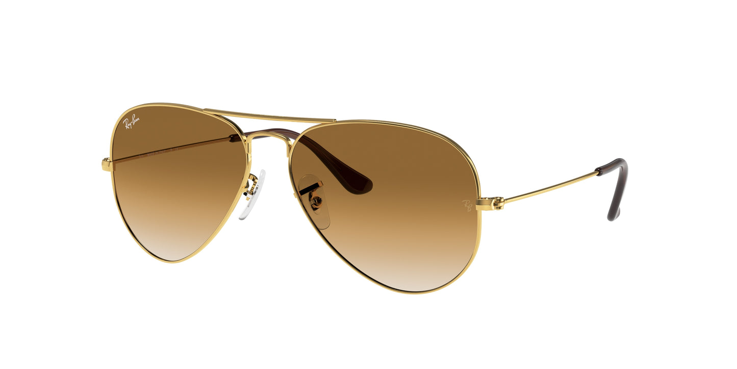 RAY-BAN | RB3025 001/51