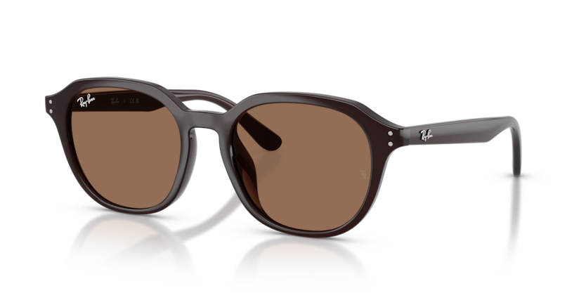 RAY-BAN | RB4459D 623173