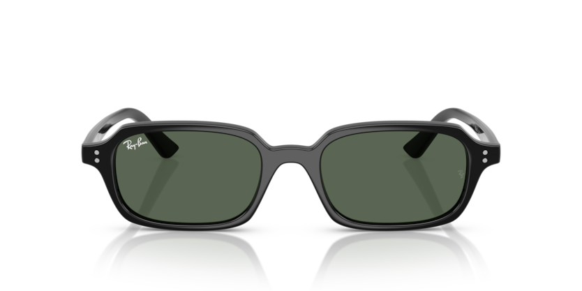 RAY-BAN | RB4455 667771