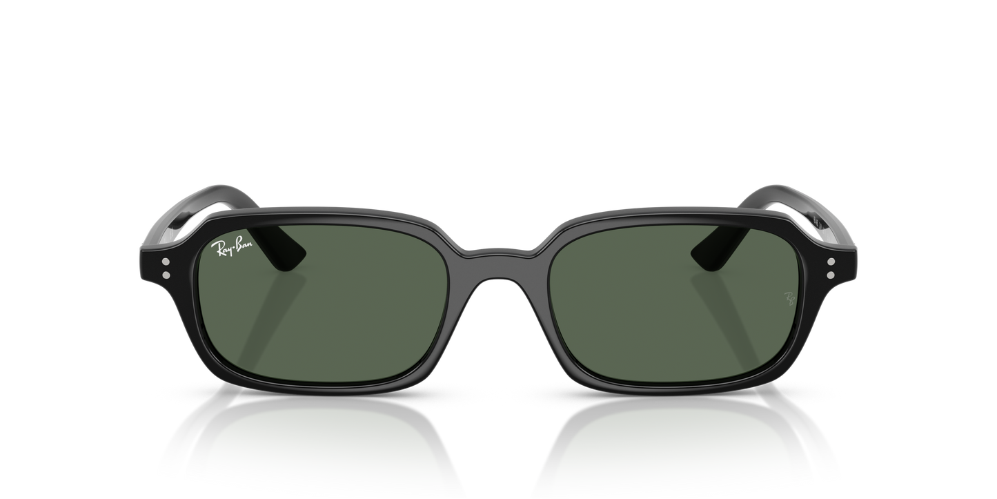 RAY-BAN | RB 4455 667771
