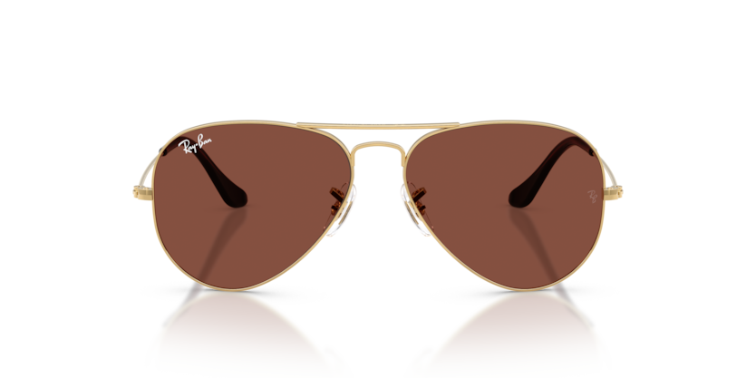 RAY-BAN | RB3025 001/C5