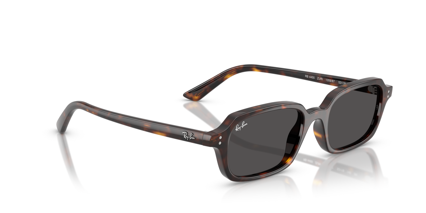 RAY-BAN | RB 4455 135987