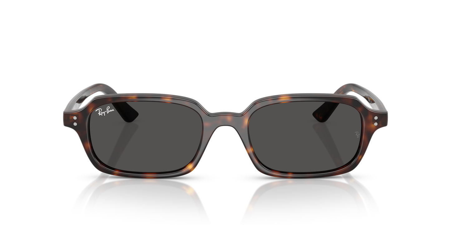 RAY-BAN | RB 4455 135987
