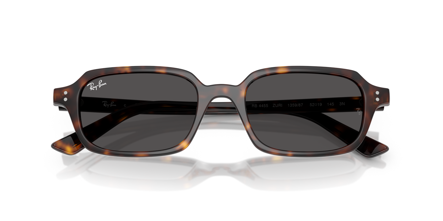 RAY-BAN | RB 4455 135987